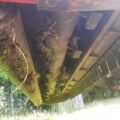 IMG-20250619-WA0005