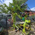 IMG-20250626-WA0023