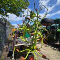 IMG-20250626-WA0029