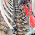 IMG-20250709-WA0038