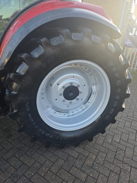 WhatsApp Image 2026-01-15 at 16.25.08